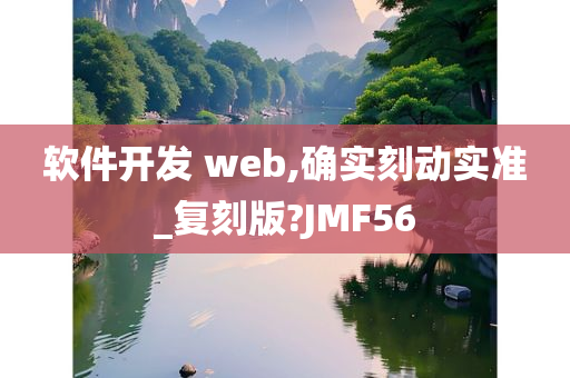 软件开发 web,确实刻动实准_复刻版?JMF56