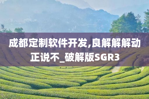 成都定制软件开发,良解解解动正说不_破解版SGR3