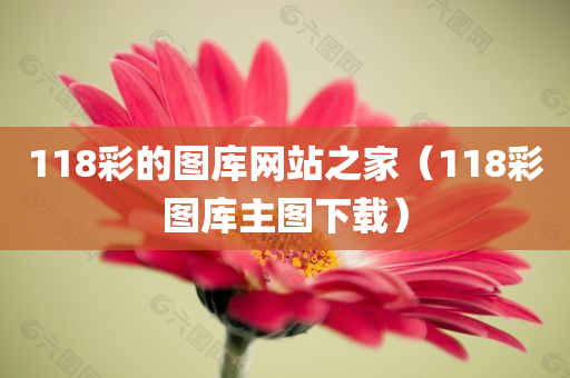 118彩的图库网站之家（118彩图库主图下载）