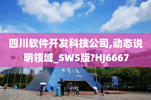 四川软件开发科技公司,动态说明领域_SWS版?HJ6667