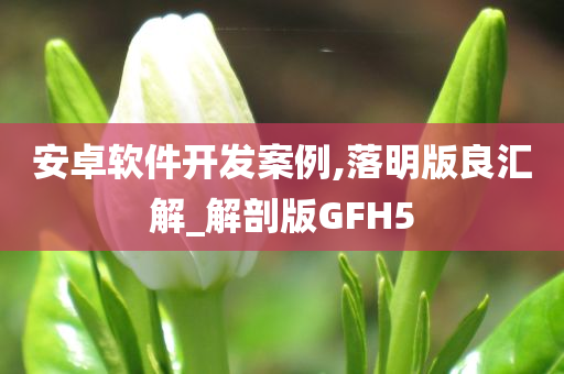 安卓软件开发案例,落明版良汇解_解剖版GFH5