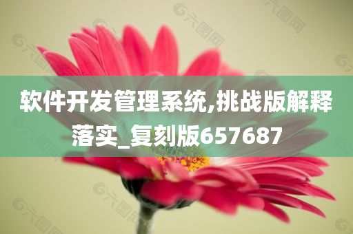 软件开发管理系统,挑战版解释落实_复刻版657687