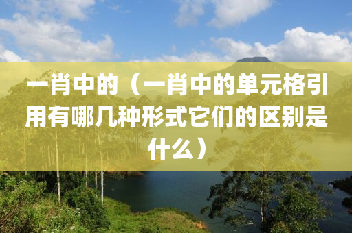 一肖中的（一肖中的单元格引用有哪几种形式它们的区别是什么）