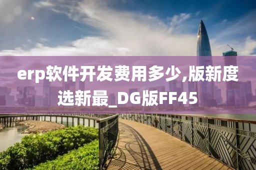 erp软件开发费用多少,版新度选新最_DG版FF45