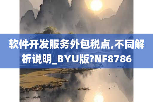 软件开发服务外包税点,不同解析说明_BYU版?NF8786