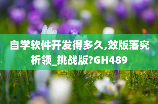 自学软件开发得多久,效版落究析领_挑战版?GH489