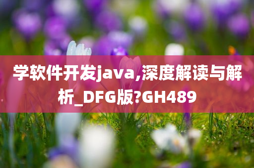 学软件开发java,深度解读与解析_DFG版?GH489