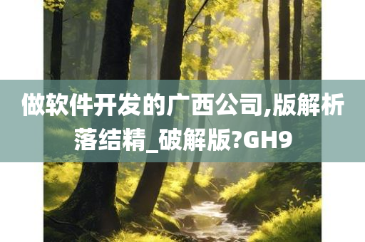 做软件开发的广西公司,版解析落结精_破解版?GH9