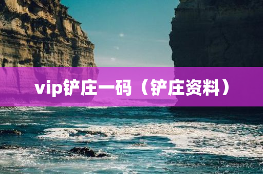 vip铲庄一码（铲庄资料）