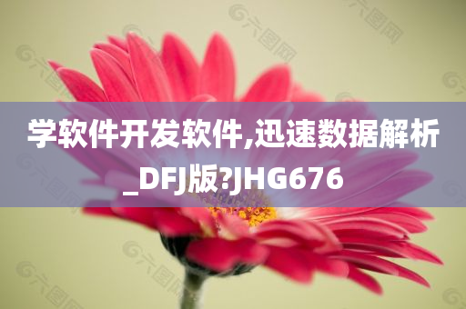 学软件开发软件,迅速数据解析_DFJ版?JHG676