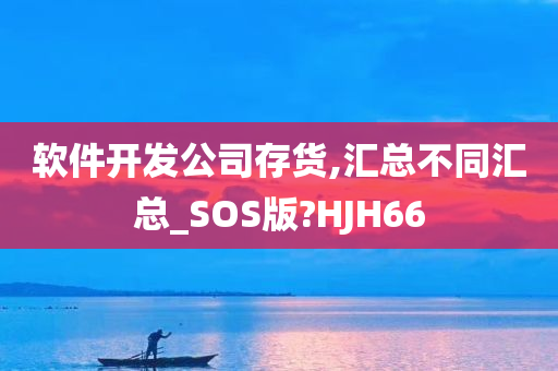 软件开发公司存货,汇总不同汇总_SOS版?HJH66