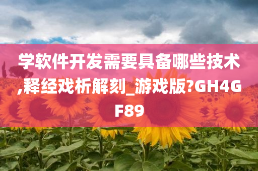 学软件开发需要具备哪些技术,释经戏析解刻_游戏版?GH4GF89