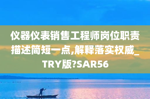 仪器仪表销售工程师岗位职责描述简短一点,解释落实权威_TRY版?SAR56