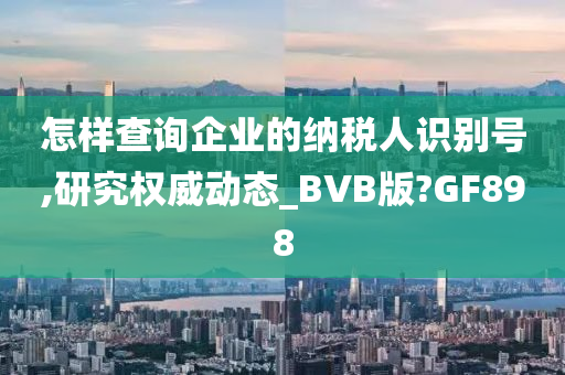 怎样查询企业的纳税人识别号,研究权威动态_BVB版?GF898