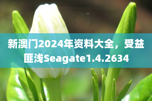 新澳门2024年资料大全，受益匪浅Seagate1.4.2634