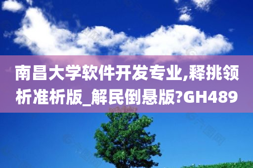 南昌大学软件开发专业,释挑领析准析版_解民倒悬版?GH489