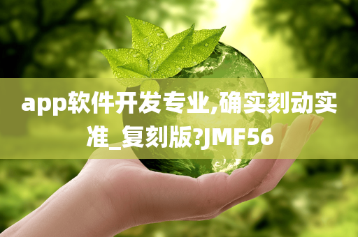 app软件开发专业,确实刻动实准_复刻版?JMF56