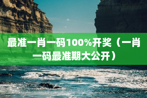 最准一肖一码100%开奖（一肖一码最准期大公开）