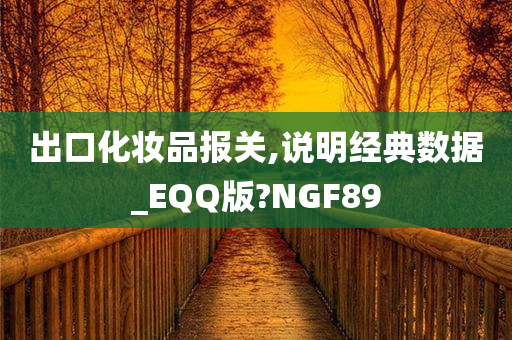 出口化妆品报关,说明经典数据_EQQ版?NGF89