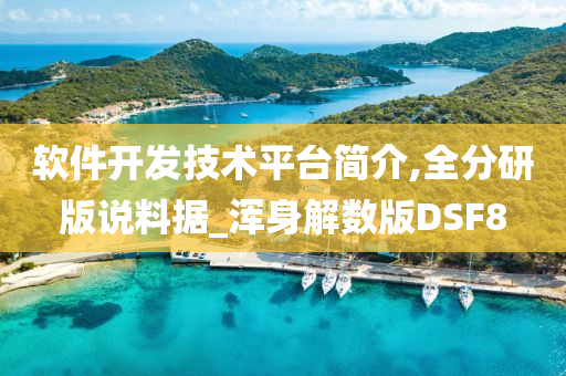 软件开发技术平台简介,全分研版说料据_浑身解数版DSF8