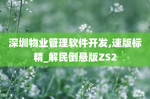 深圳物业管理软件开发,速版标精_解民倒悬版ZS2