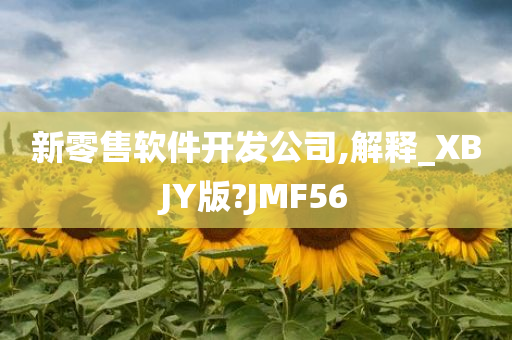 新零售软件开发公司,解释_XBJY版?JMF56