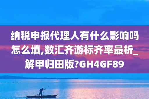 纳税申报代理人有什么影响吗怎么填,数汇齐游标齐率最析_解甲归田版?GH4GF89