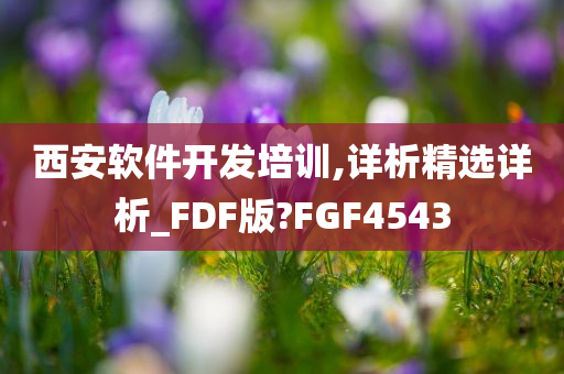 西安软件开发培训,详析精选详析_FDF版?FGF4543