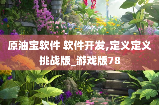 原油宝软件 软件开发,定义定义挑战版_游戏版78