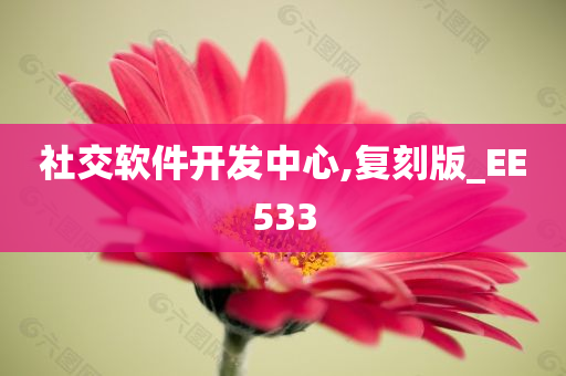 社交软件开发中心,复刻版_EE533