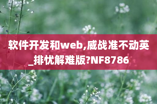 软件开发和web,威战准不动英_排忧解难版?NF8786