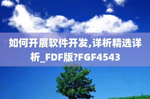 如何开展软件开发,详析精选详析_FDF版?FGF4543