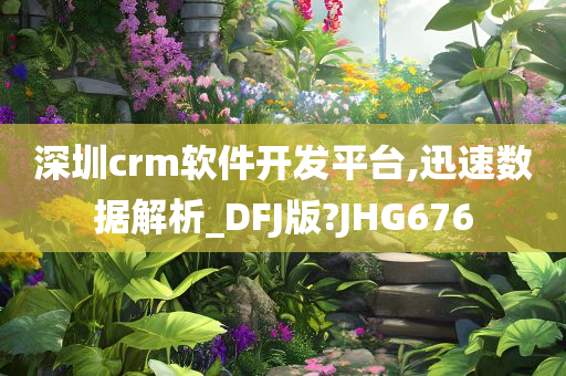 深圳crm软件开发平台,迅速数据解析_DFJ版?JHG676