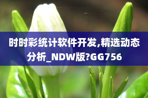 时时彩统计软件开发,精选动态分析_NDW版?GG756