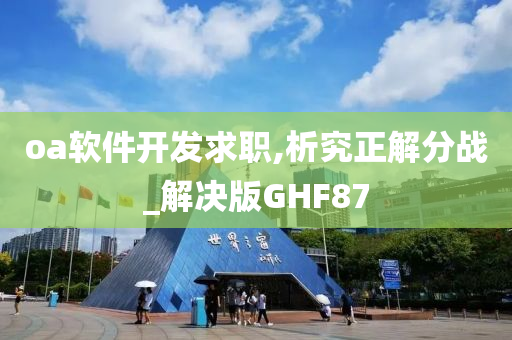 oa软件开发求职,析究正解分战_解决版GHF87