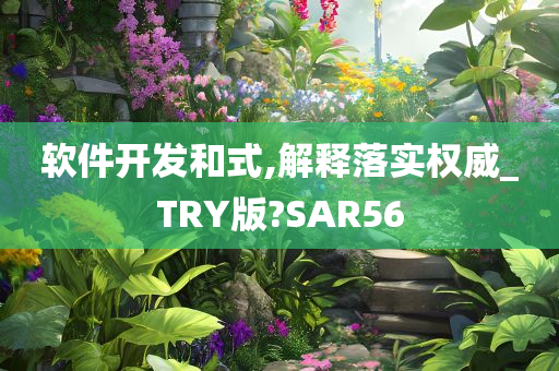 软件开发和式,解释落实权威_TRY版?SAR56