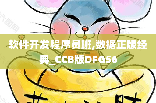 软件开发程序员班,数据正版经典_CCB版DFG56