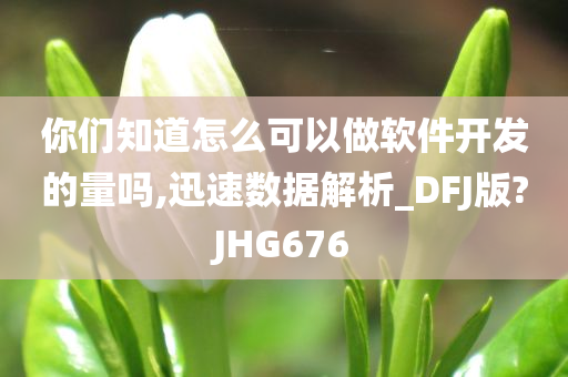 你们知道怎么可以做软件开发的量吗,迅速数据解析_DFJ版?JHG676