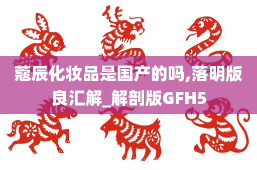 蔻辰化妆品是国产的吗,落明版良汇解_解剖版GFH5