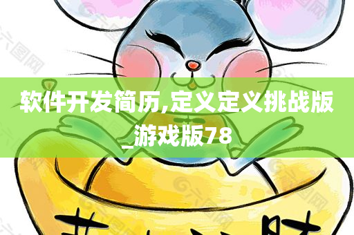 软件开发简历,定义定义挑战版_游戏版78