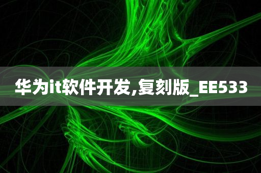 华为it软件开发,复刻版_EE533