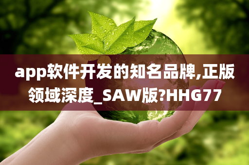 app软件开发的知名品牌,正版领域深度_SAW版?HHG77