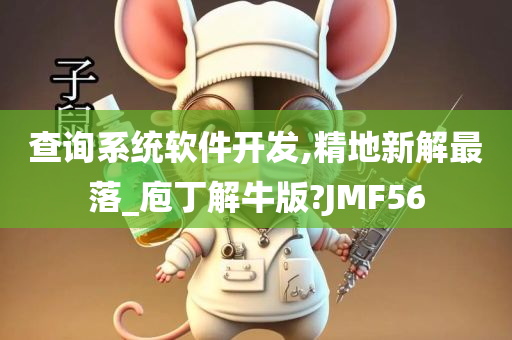 查询系统软件开发,精地新解最落_庖丁解牛版?JMF56