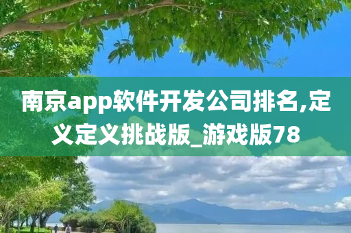 南京app软件开发公司排名,定义定义挑战版_游戏版78