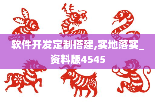 软件开发定制搭建,实地落实_资料版4545