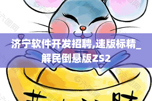 济宁软件开发招聘,速版标精_解民倒悬版ZS2