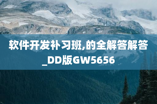 软件开发补习班,的全解答解答_DD版GW5656