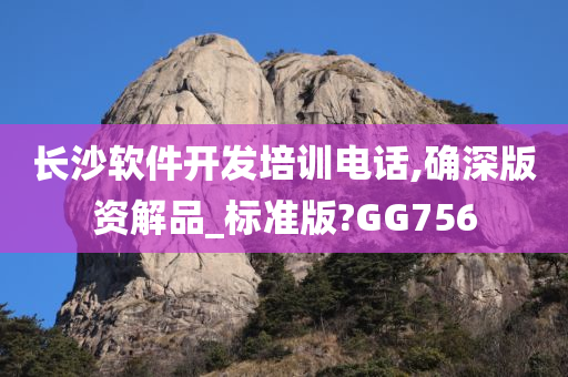 长沙软件开发培训电话,确深版资解品_标准版?GG756