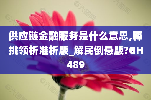 供应链金融服务是什么意思,释挑领析准析版_解民倒悬版?GH489