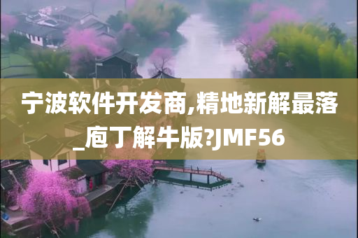 宁波软件开发商,精地新解最落_庖丁解牛版?JMF56